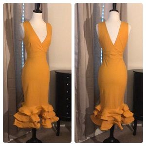 NWOT TULIP RUFFLE DRESS